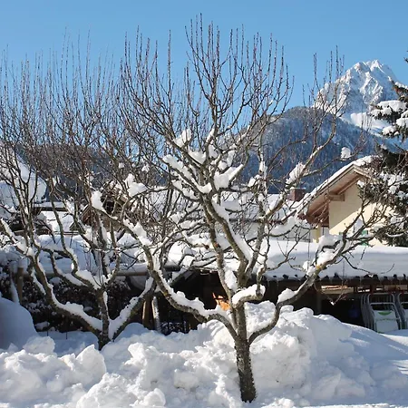 Ferienapartmenthaus Hubertushof Mittenwald Exterior photo
