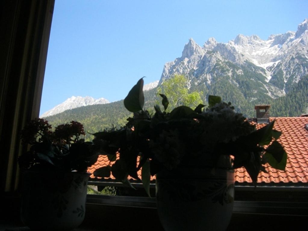 Ferienapartmenthaus Hubertushof Apartment